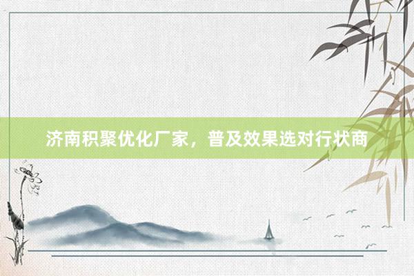 济南积聚优化厂家,普及效果选对行状商